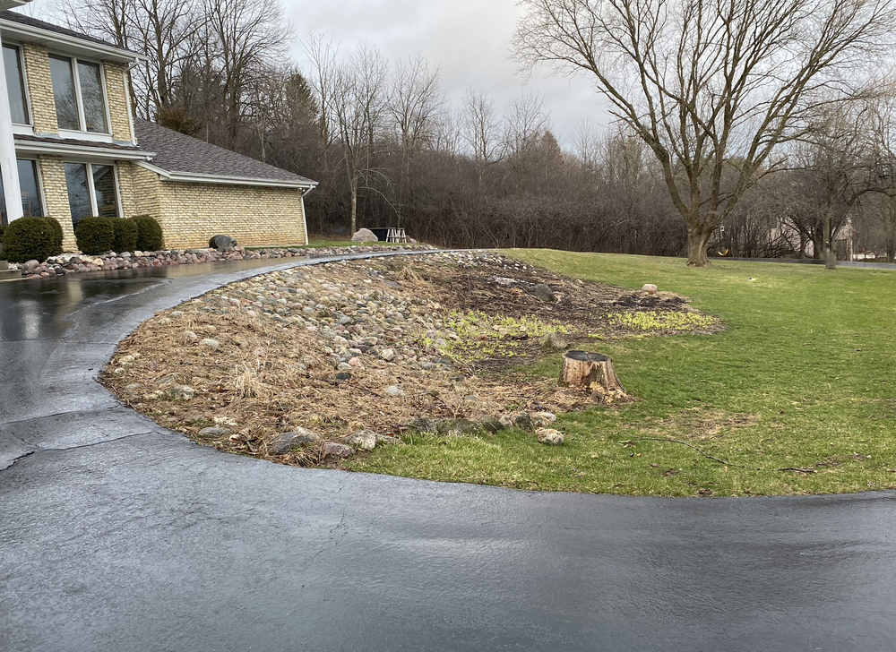 Before: sloped yard with patchy growth